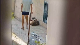 צילום: דוברות המשטרה